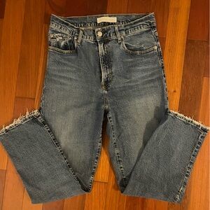 Nobody Denim Charlotte Jean Super High Rise Straight Fit Ankle Jean 31